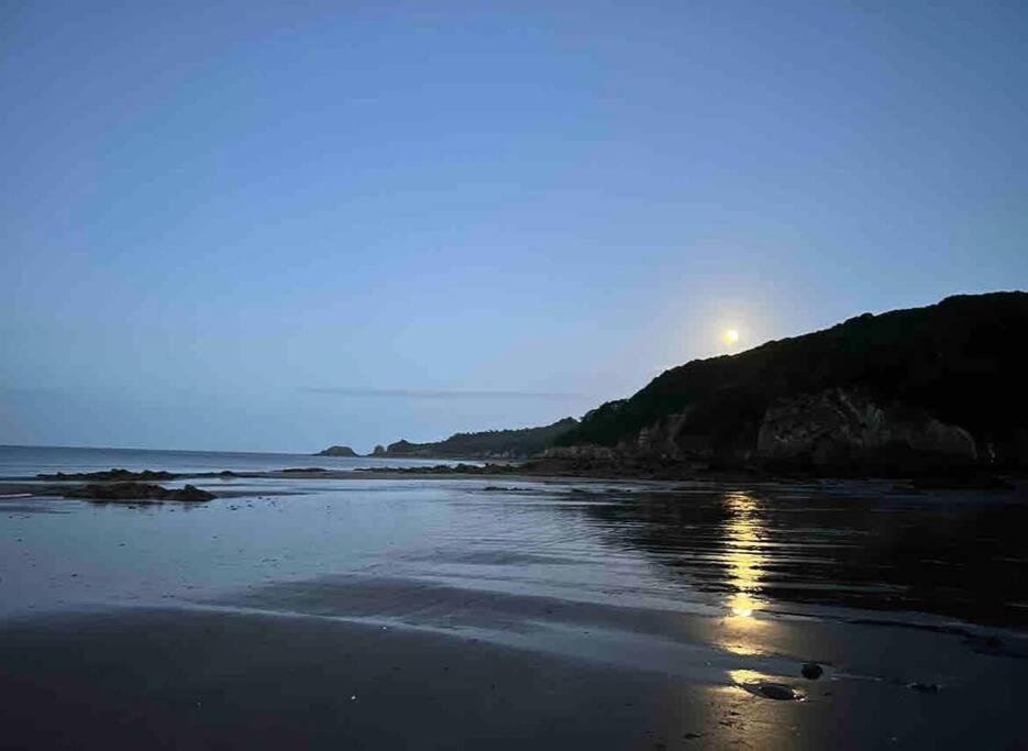 Apartamento Rhodewood House Saundersfoot Exterior foto